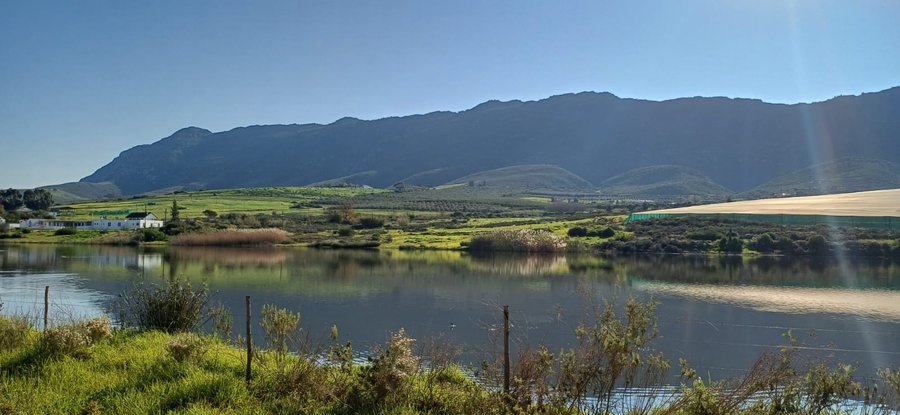 The dam at Goedgedacht, with the Kasteelberg behind