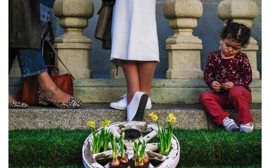 2026 Photo Awards: The extraordinary ordinary